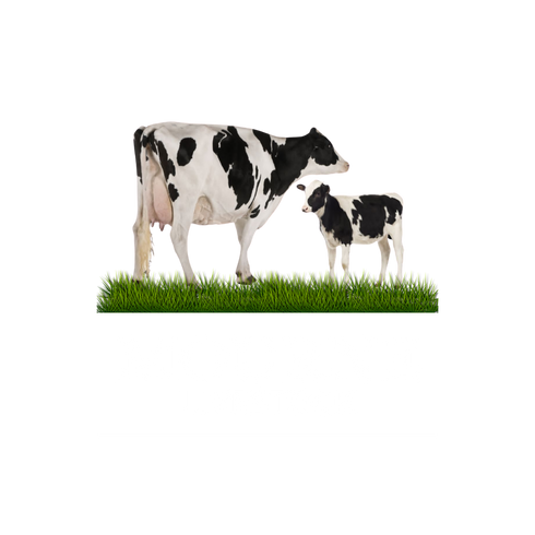 Mourne Livestock