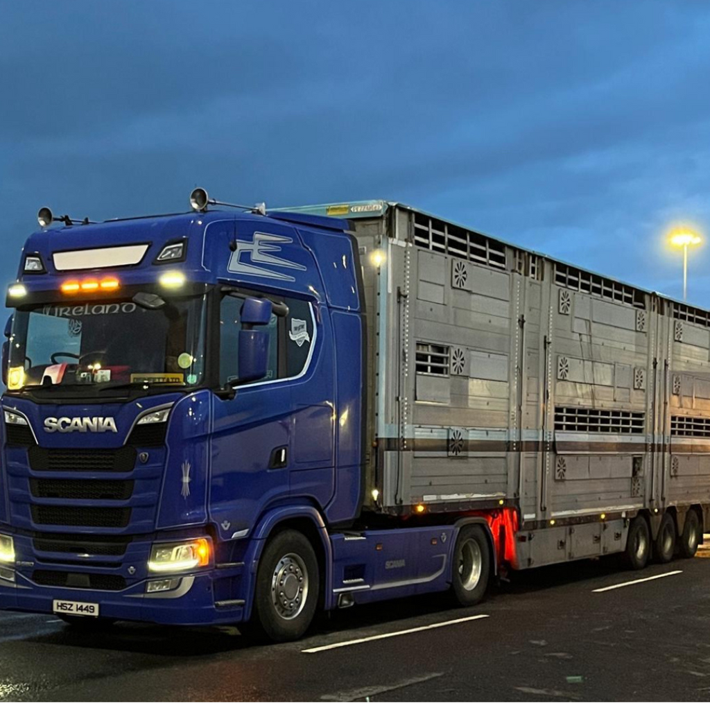 Cattle Shuttle Cattle Transportation – Mourne Livestock